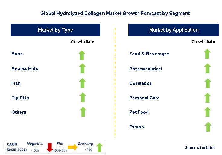 Hydrolyzed Collagen Market by Segment