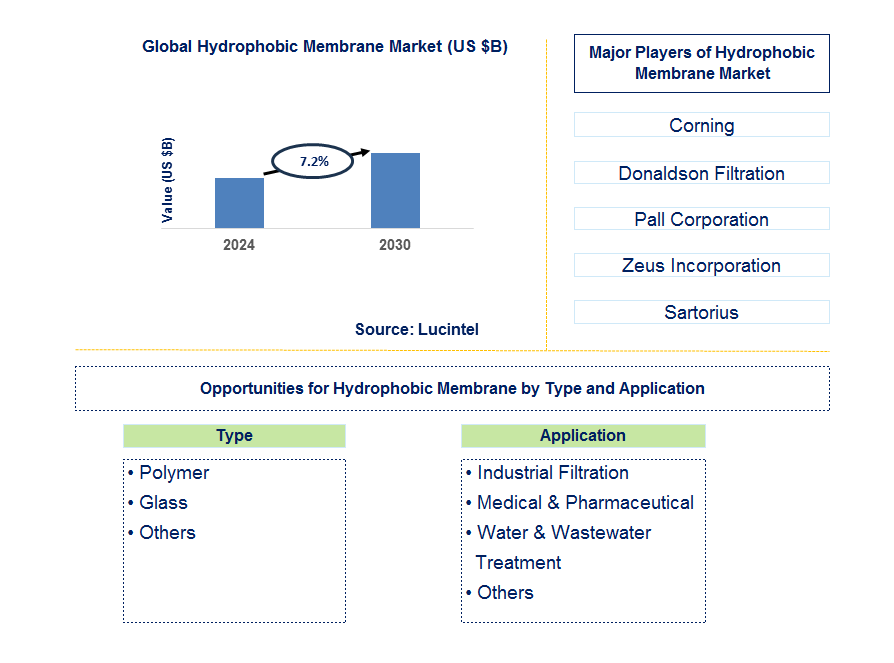 Hydrophobic Membrane Trends and Forecast