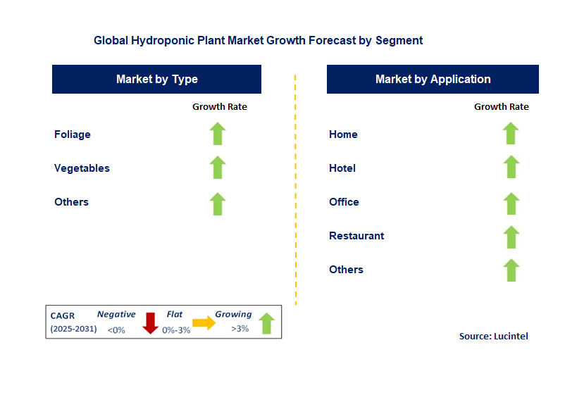 Hydroponic Plant Market by Segment