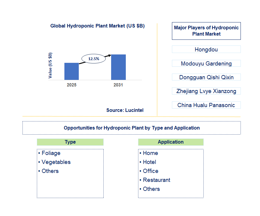 Hydroponic Plant Market Trends and Forecast