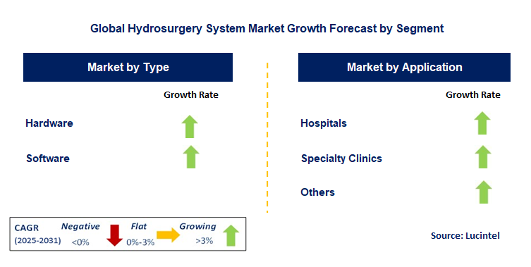 Hydrosurgery System Market by Segment