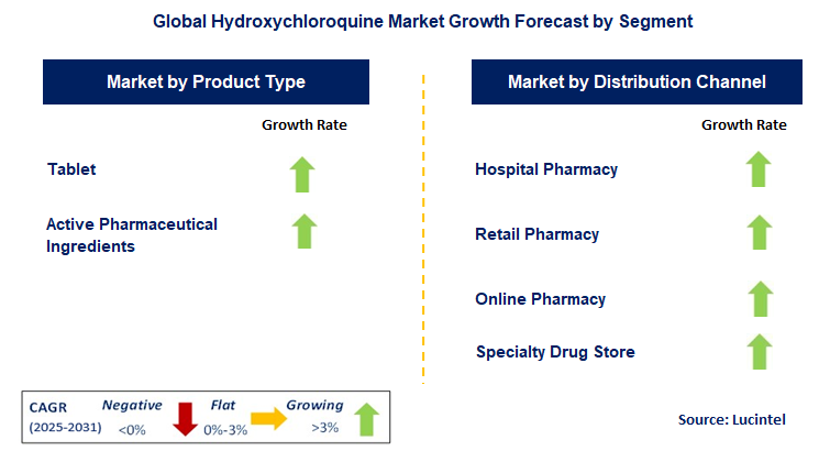 Hydroxychloroquine Market by Segment