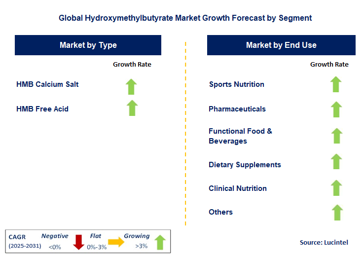 Hydroxymethylbutyrate Market by Segment