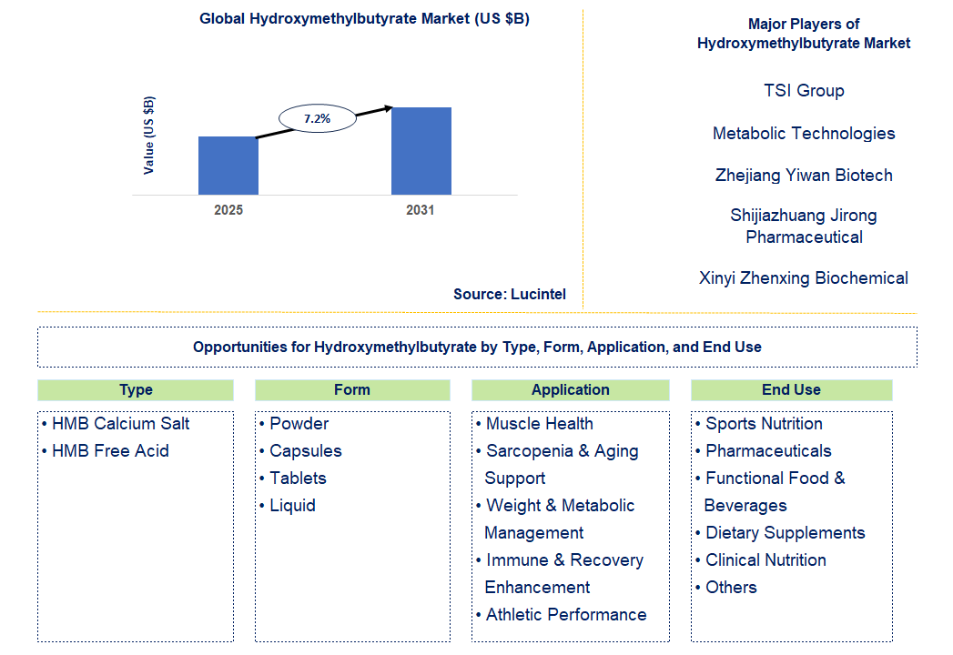 Hydroxymethylbutyrate Market Trends and Forecast