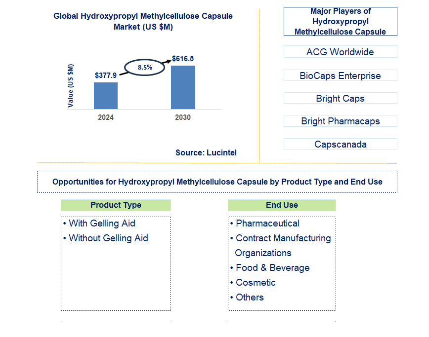 Hydroxypropyl Methylcellulose Capsule Trends and Forecast