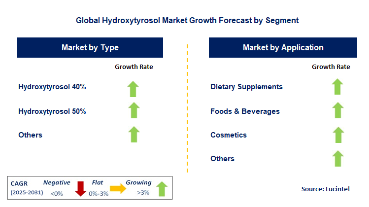 Hydroxytyrosol Market by Segment