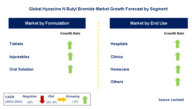 Hyoscine N Butyl Bromide Market by Segment