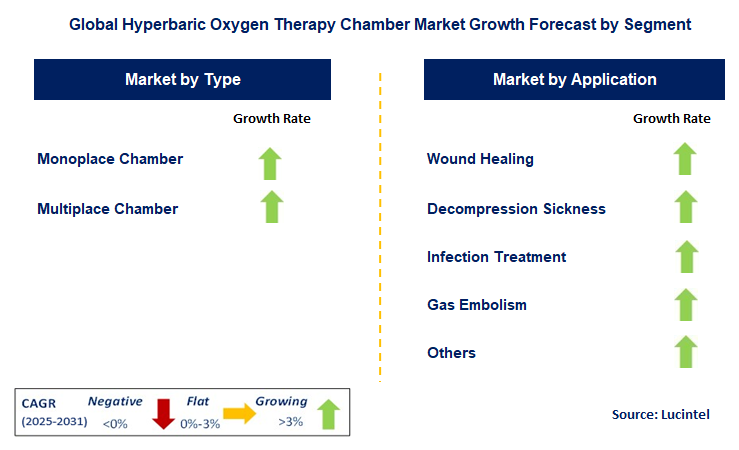 Hyperbaric Oxygen Therapy Chamber Market by Segment