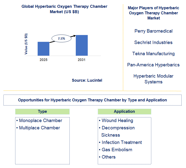 Hyperbaric Oxygen Therapy Chamber Market Trends and Forecast