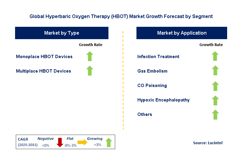 Hyperbaric Oxygen Therapy (HBOT) Market by Segment