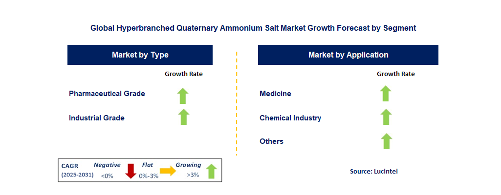Hyperbranched Quaternary Ammonium Salt Market by Segment