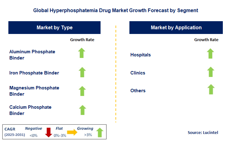 Hyperphosphatemia Drug Market by Segment