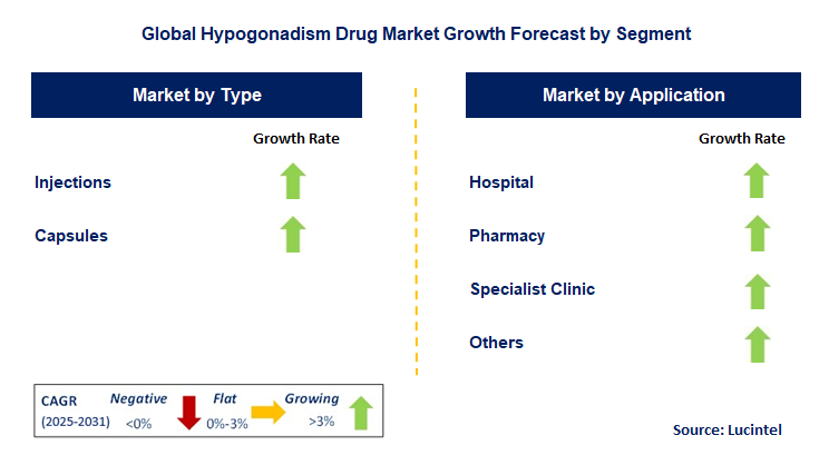 Hypogonadism Drug Market by Segment
