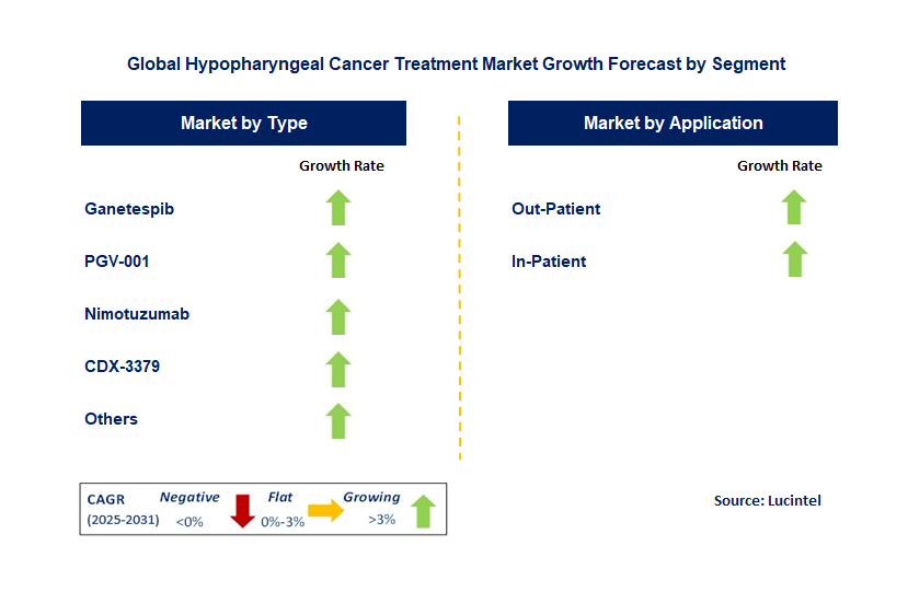 Hypopharyngeal Cancer Treatment Market by Segment