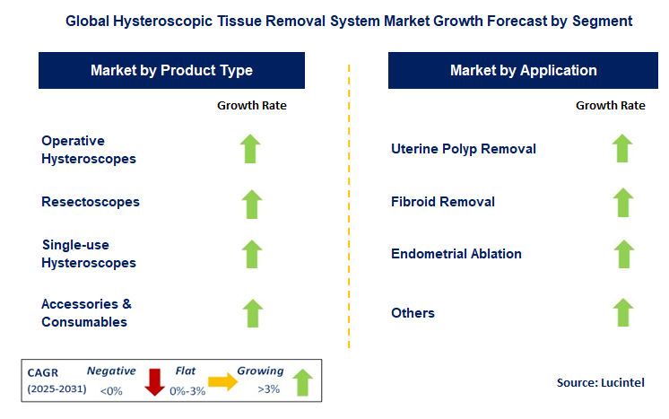 Hysteroscopic Tissue Removal System Market by Segment