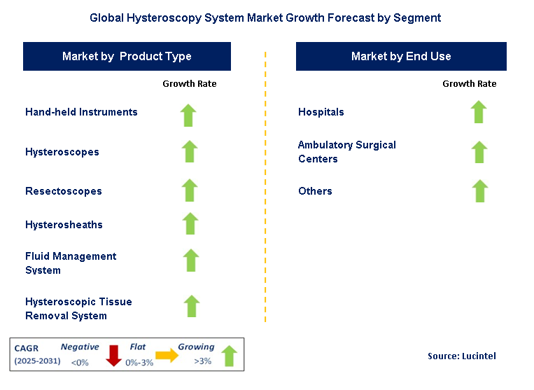 Hysteroscopy System Market by Segment