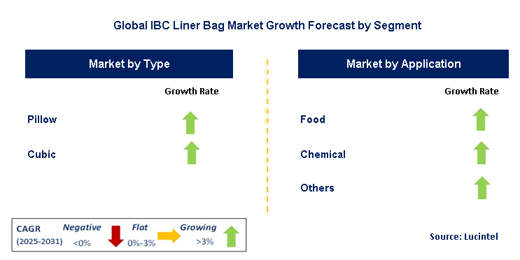 IBC Liner Bag Market by Segment