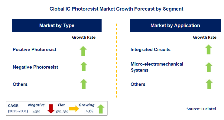 IC Photoresist Market by Segment