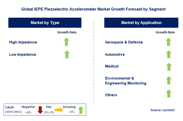 IEPE Piezoelectric Accelerometer Market by Segment