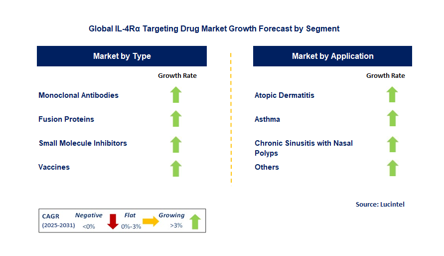 IL-4Rα Targeting Drug Market by Segment