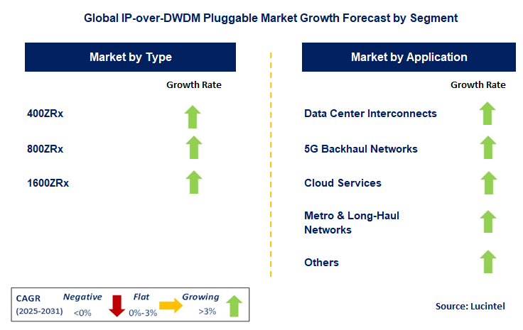 IP-over-DWDM Pluggable Market by Segment