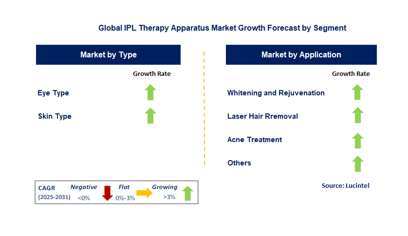 IPL Therapy Apparatus Market by Segment