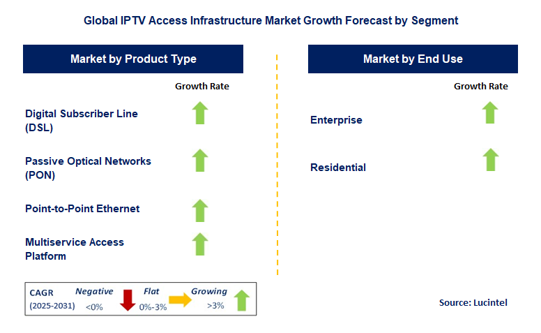 IPTV Access Infrastructure Market by Segment