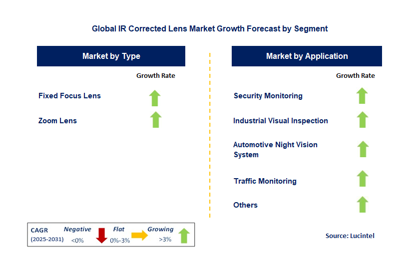 IR Corrected Lens Market by Segment