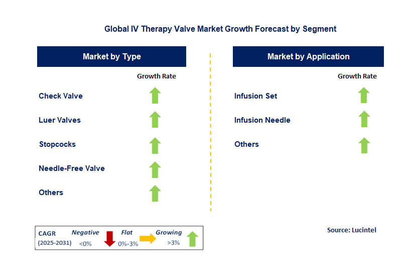 IV Therapy Valve Market by Segment