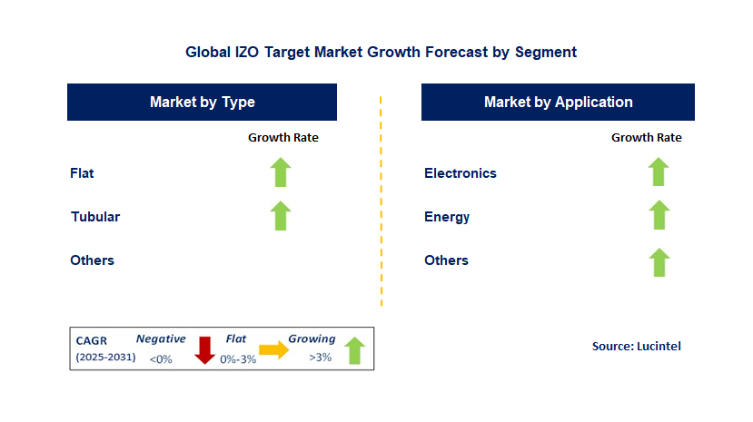 IZO Target Market by Segment