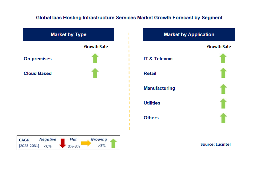 Iaas Hosting Infrastructure Services Market by Segment