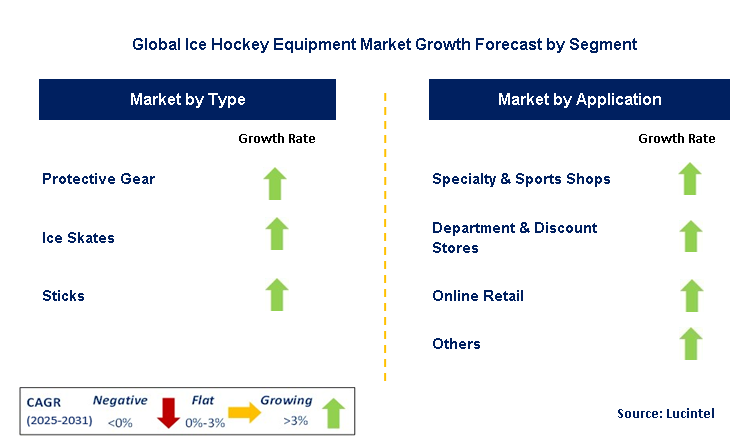 Ice Hockey Equipment Market by Segment