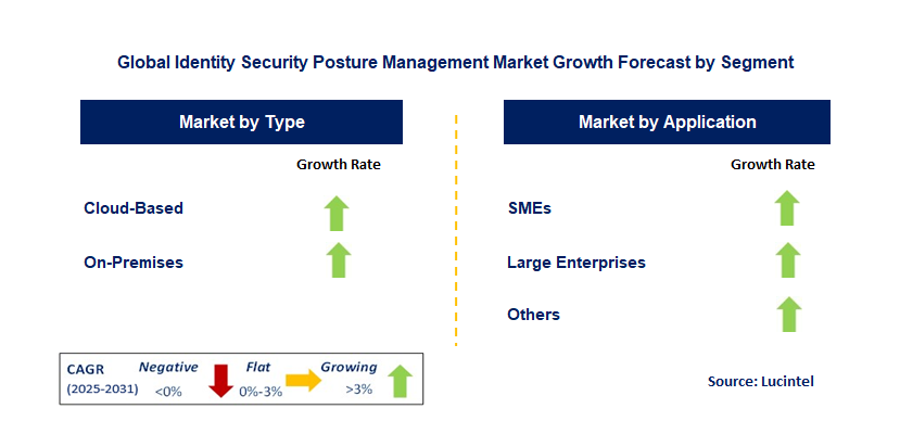 Identity Security Posture Management Market by Segment