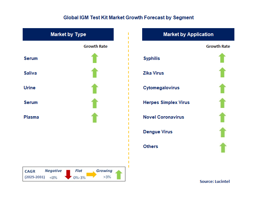 IGM Test Kit Market by Segment