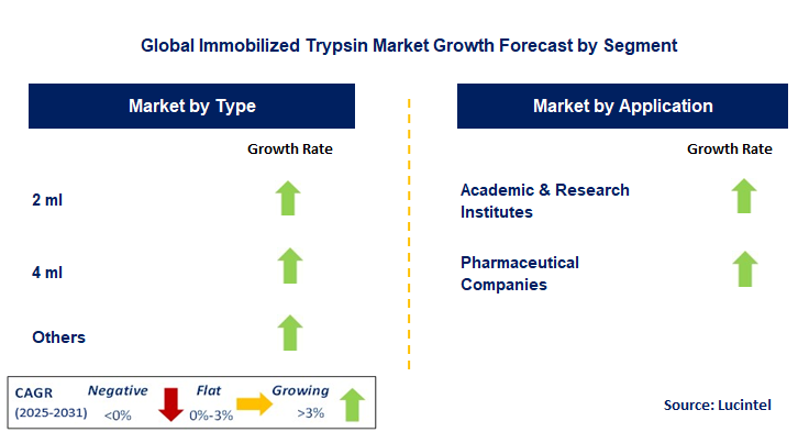 Immobilized Trypsin Market by Segment