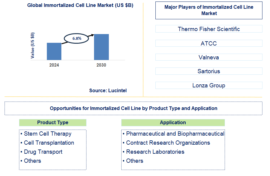 Immortalized Cell Line Trends and Forecast