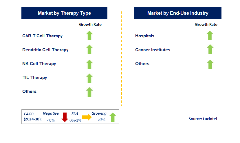 Immune Cell Therapy by Segment