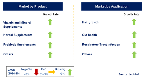 Immune Health Supplements by Segment