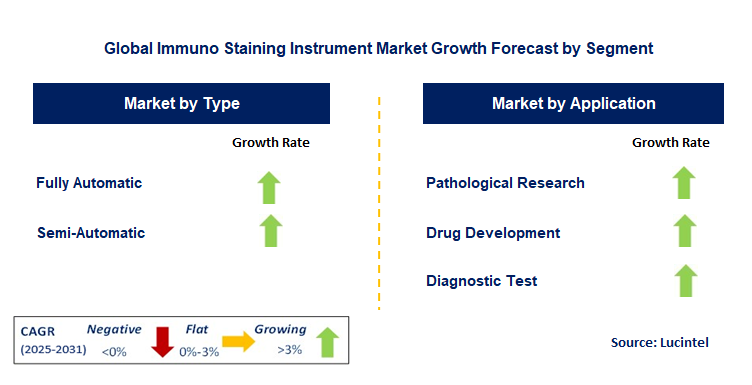 Immuno Staining Instrument Market by Segment