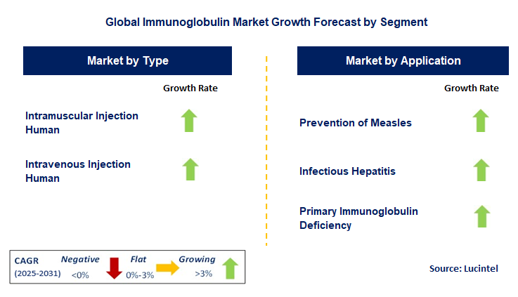 Immunoglobulin Market by Segment
