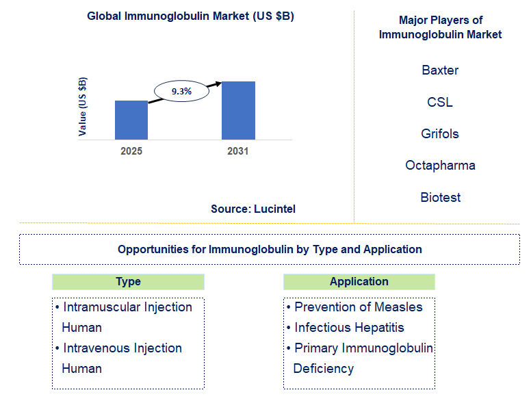 Immunoglobulin Market Trends and Forecast