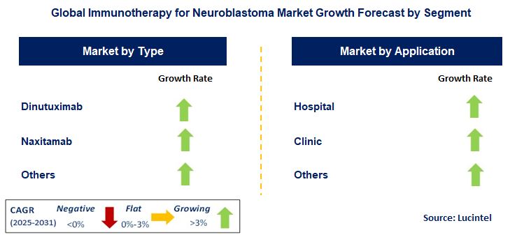 Immunotherapy for Neuroblastoma Market by Segment