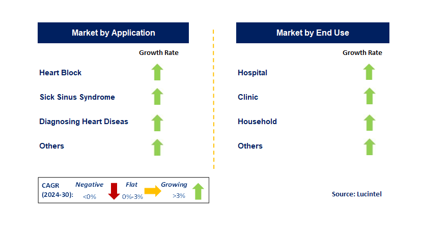 Implantable Heart Pacemaker by Segment Implantable Heart Pacemaker by Segment