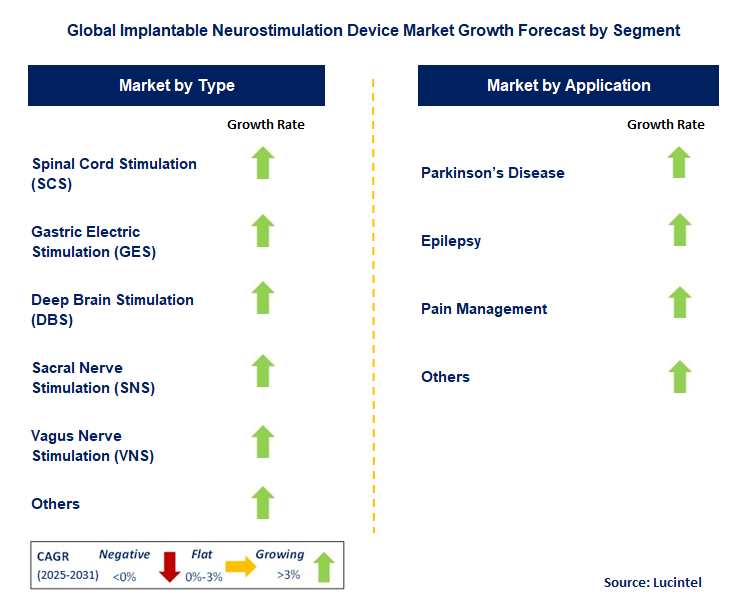 Implantable Neurostimulation Device Market by Segment