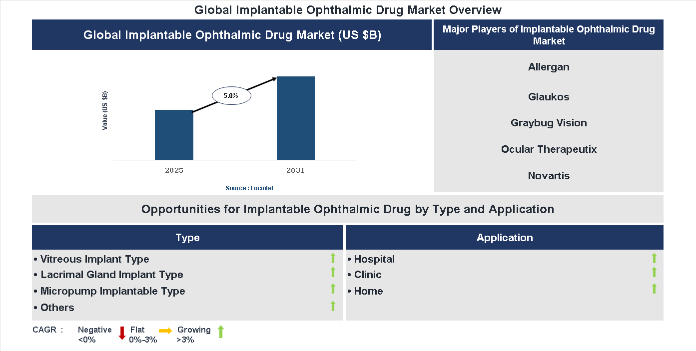 Implantable Ophthalmic Drug Market Trends and Forecast