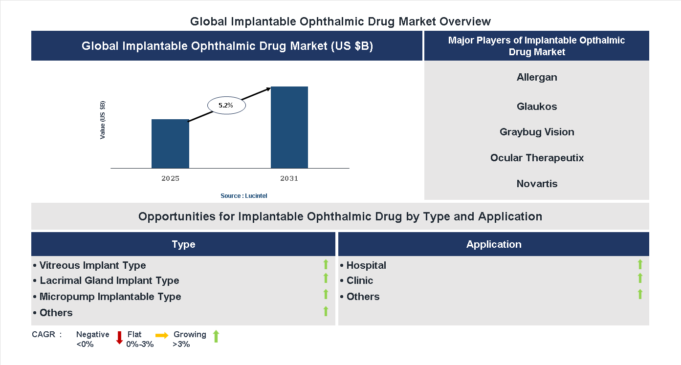 Implantable Ophthalmic Drug Market Trends and Forecast