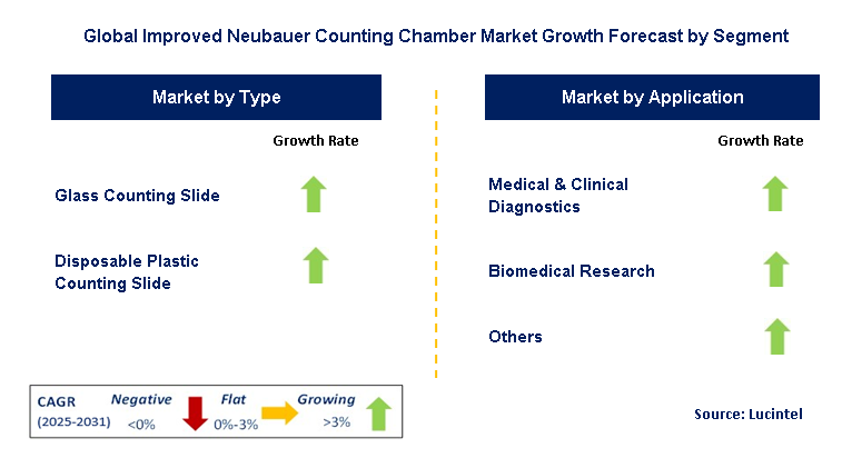 Improved Neubauer Counting Chamber Market by Segment