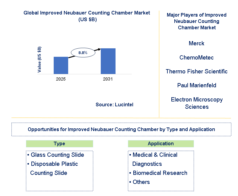 Improved Neubauer Counting Chamber Market Trends and Forecast