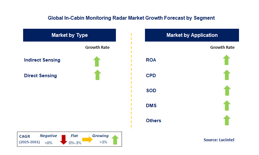 In-Cabin Monitoring Radar Market by Segment