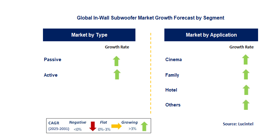 In-Wall Subwoofer Market by Segment